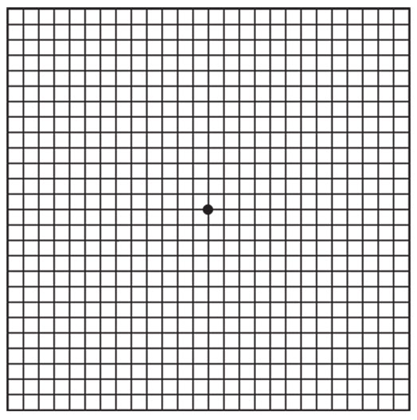 DMLAVisuel2
