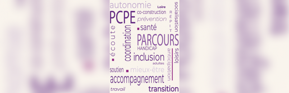 Cover PCPE Transverse Mutualiste