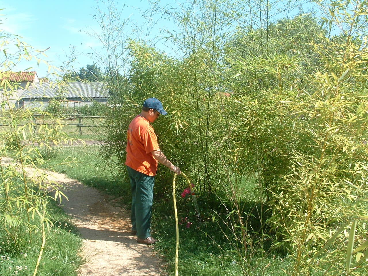 domaine mutualiste arzille