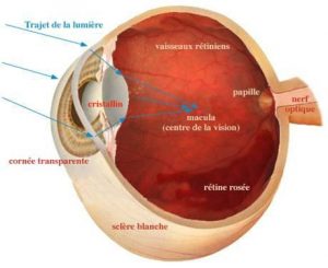 La Cataracte expliquée par la Clinique Beau Soleil de Montpellier