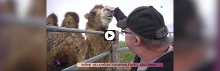 Les résidents du Foyer Handicap Les Hirondelles dans le Mag de la Santé sur France 5