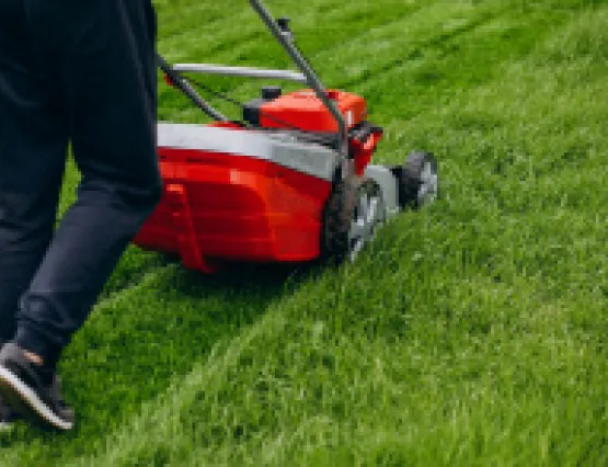 Service entretien des espaces verts
