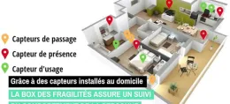Box des fragilités