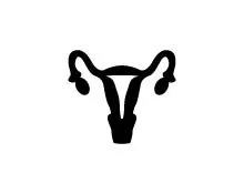 Imagerie de la femme