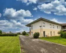 vivaldi