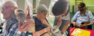Médiation animale : une thérapie non médicamenteuse au service de nos aînés