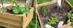 Un potager pour les enfants de la crèche Les Pillous