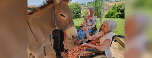 Résidence Mutualiste Le Val Dorlay : une ferme se déplace à l’EHPAD 