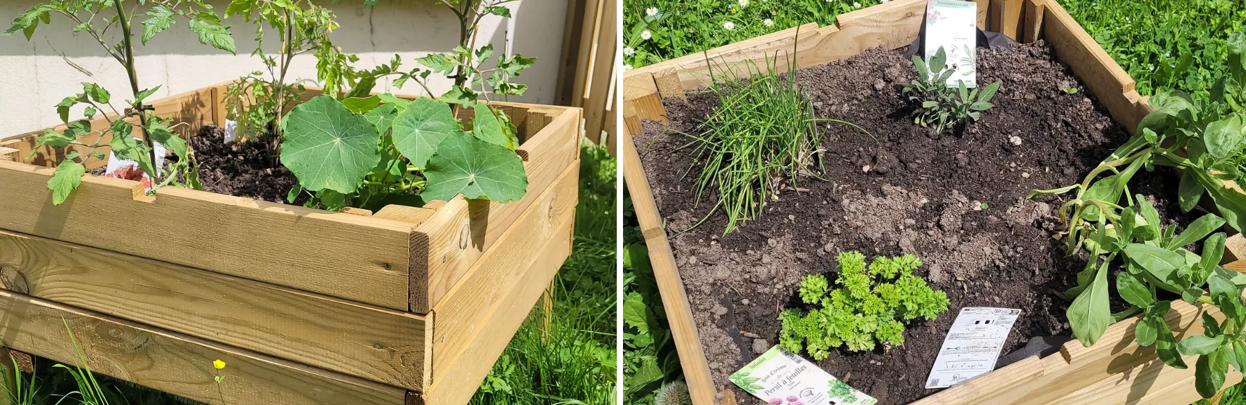 Un potager pour les enfants de la crèche Les Pillous