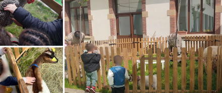 La ferme de Justin vient à la crèche
