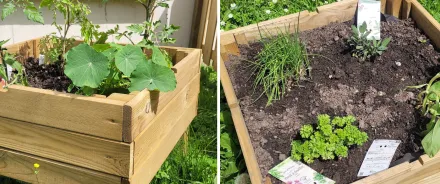 Un potager pour les enfants de la crèche Les Pillous