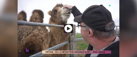 Les résidents du Foyer Handicap Les Hirondelles dans le Mag de la Santé sur France 5