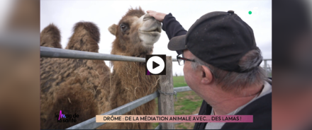 Les résidents du Foyer Handicap Les Hirondelles dans le Mag de la Santé sur France 5