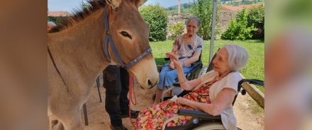 Résidence Mutualiste Le Val Dorlay : une ferme se déplace à l’EHPAD