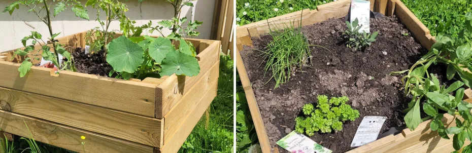 Un potager pour les enfants de la crèche Les Pillous