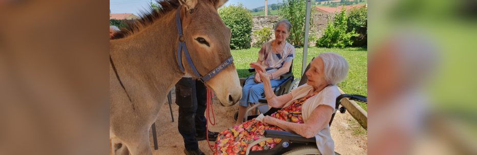 Résidence Mutualiste Le Val Dorlay : une ferme se déplace à l’EHPAD